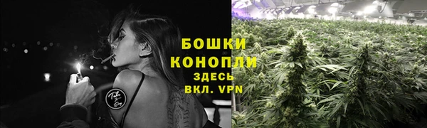 индика Новокубанск