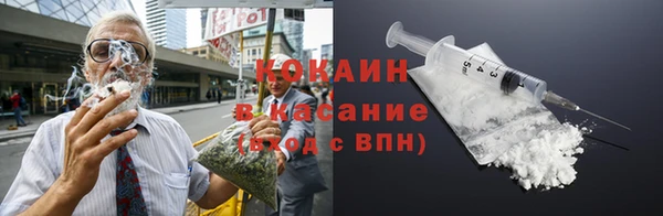 индика Новокубанск