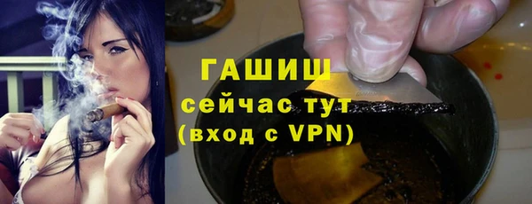 индика Новокубанск