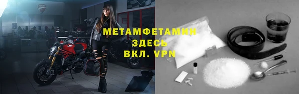 индика Новокубанск