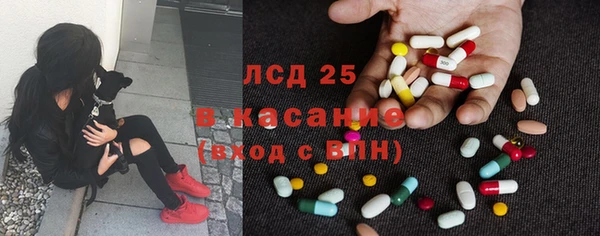 крисы Новодвинск