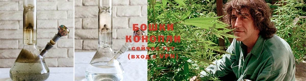 крисы Новодвинск