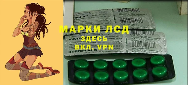 крисы Новодвинск