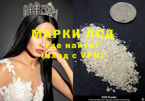 индика Новокубанск