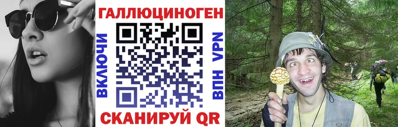 Галлюциногенные грибы мицелий  купить  сайты  Саянск 
