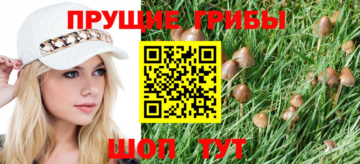 Псилоцибиновые грибы Psilocybine cubensis  Вход с VPN  Галлюциногенные грибы ЛСД  Саянск 